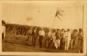 Presidente Moncada caminando en un canaveral, 1929.